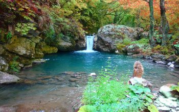 5be5ec51240000490299b646